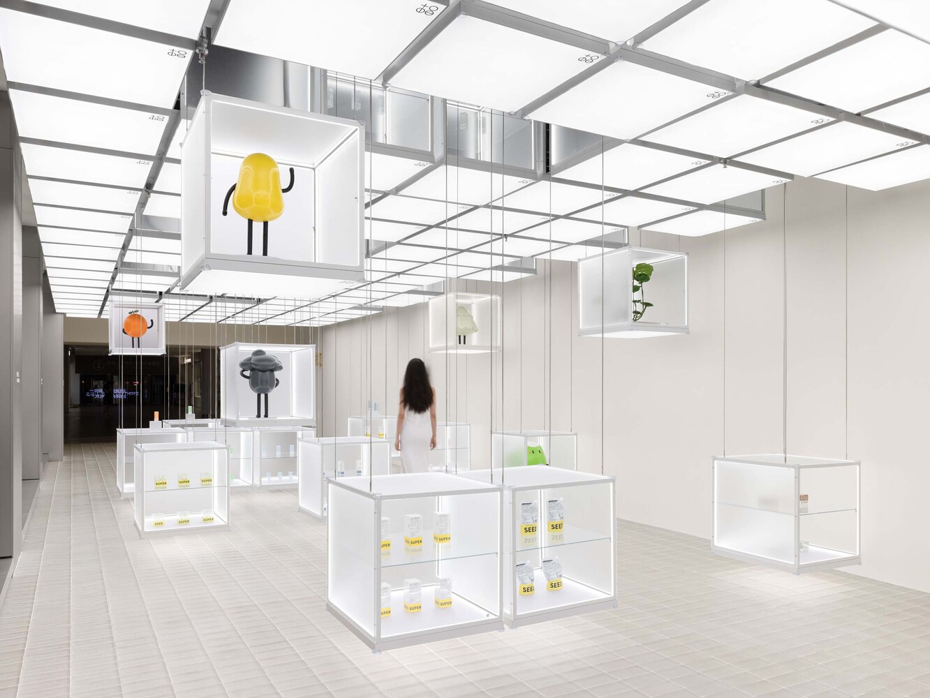 Case: Super Seed Concept Store