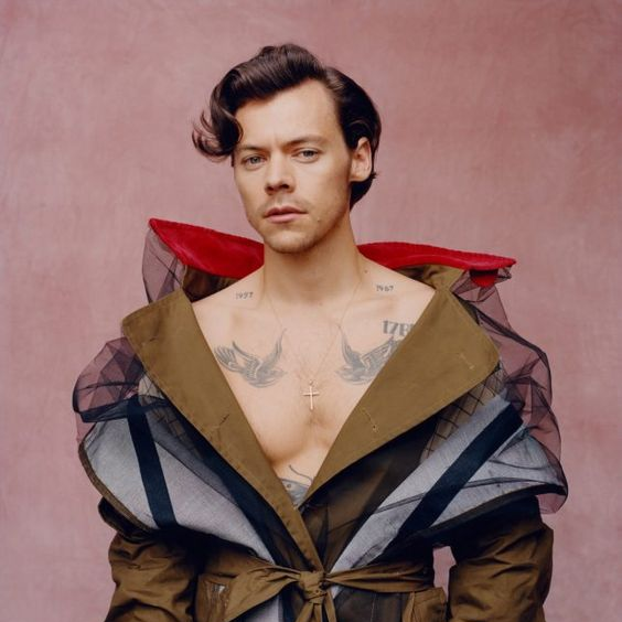 CASE: Harry Styles e disrupção da masculinidade GenZ