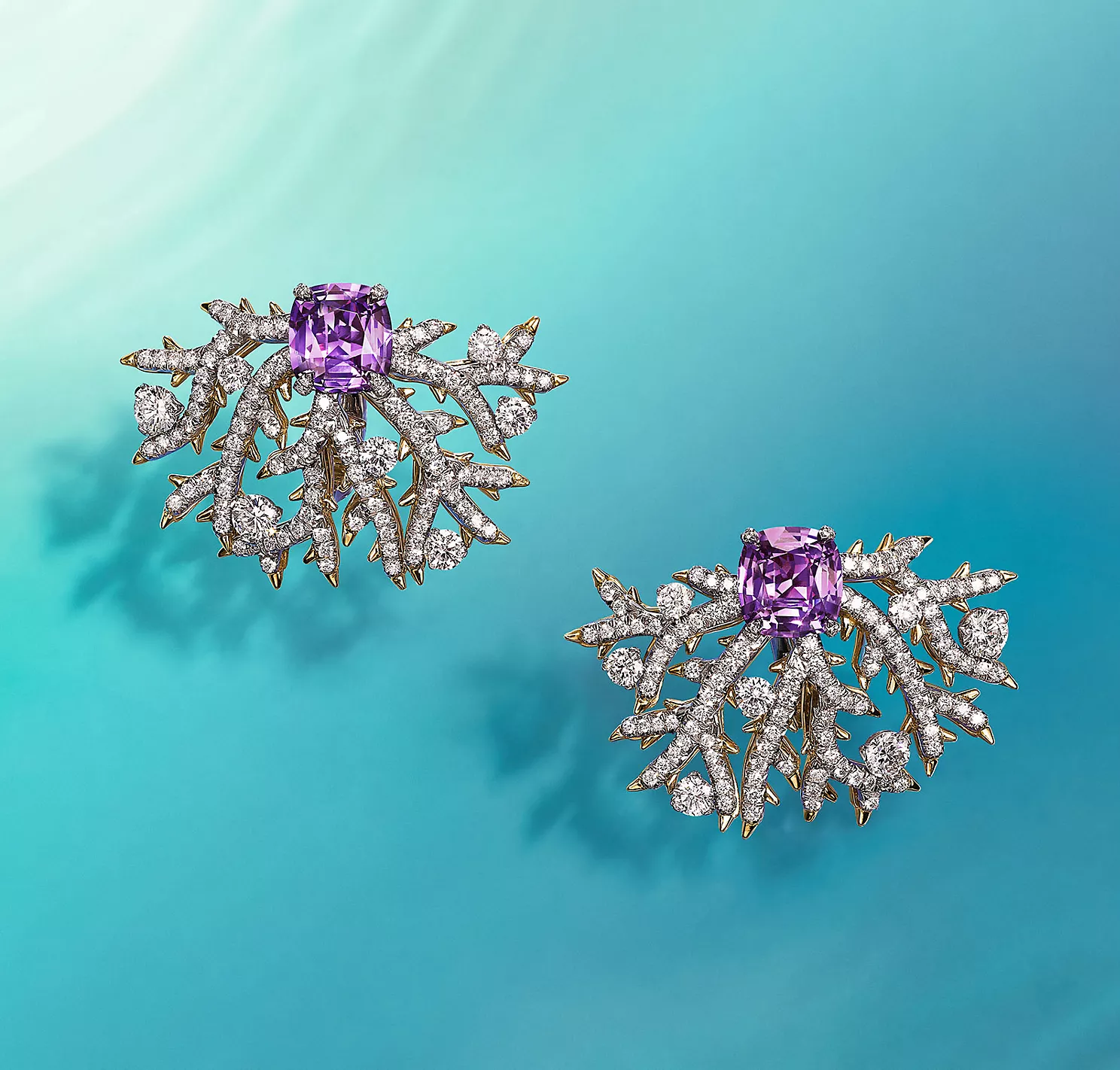 Post sem título 10203