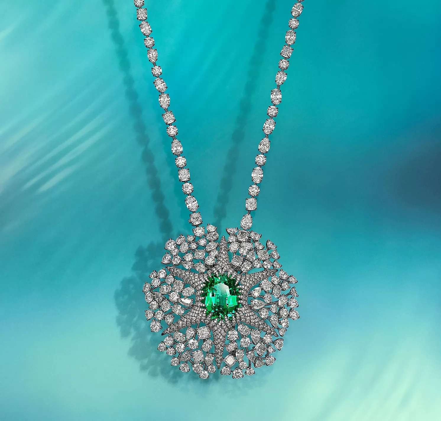 Post sem título 10201